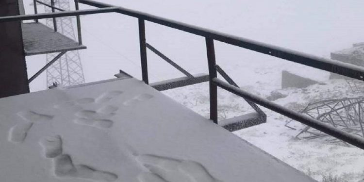 Bie bora e parë në Maqedoni!