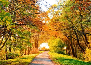Moti nesër dhe ditëve në vazhdim! (27.10.2021.) E Mërkurë