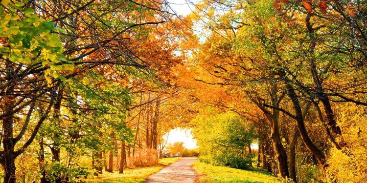 Moti nesër dhe ditëve në vazhdim! (27.10.2021.) E Mërkurë