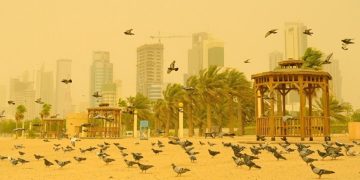 Stuhi e fuqishme me rërë në Brazil