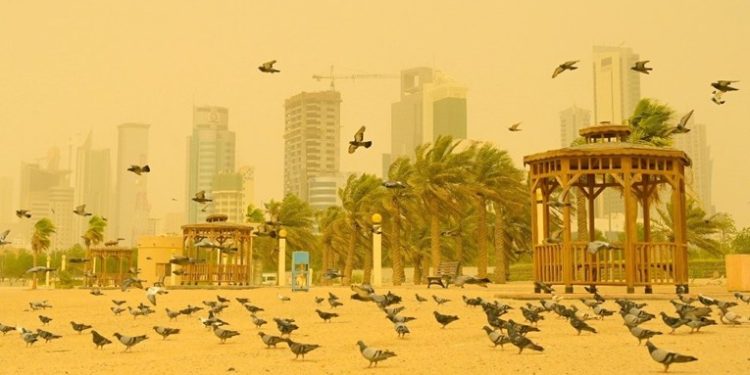 Stuhi e fuqishme me rërë në Brazil