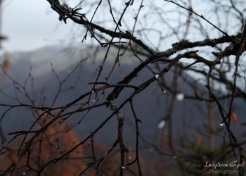 Moti nesër dhe ditëve në vazhdim! (12.10.2021.) E Martë