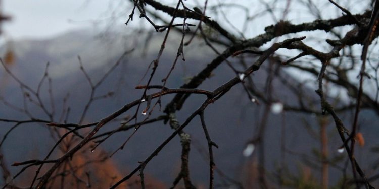 Moti nesër dhe ditëve në vazhdim! (12.10.2021.) E Martë