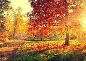 Moti nesër dhe ditëve në vazhdim! (04.10.2021.) E Hënë