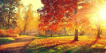 Moti nesër dhe ditëve në vazhdim! (04.10.2021.) E Hënë