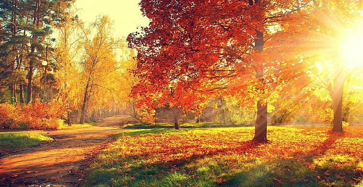 Moti nesër dhe ditëve në vazhdim! (04.10.2021.) E Hënë