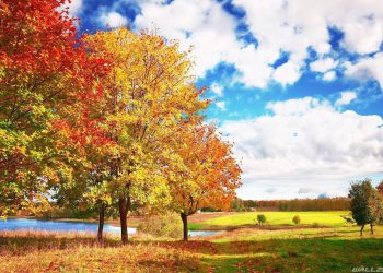 Moti nesër dhe ditëve në vazhdim! (02.10.2021.) E Shtunë