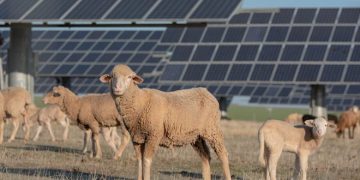 Volkswagen krijon vende të reja pune për 50 dele