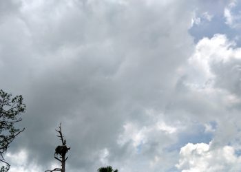 Moti nesër dhe ditëve në vazhdim! (04.11.2021.) E Enjte