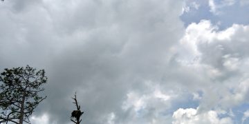 Moti nesër dhe ditëve në vazhdim! (04.11.2021.) E Enjte