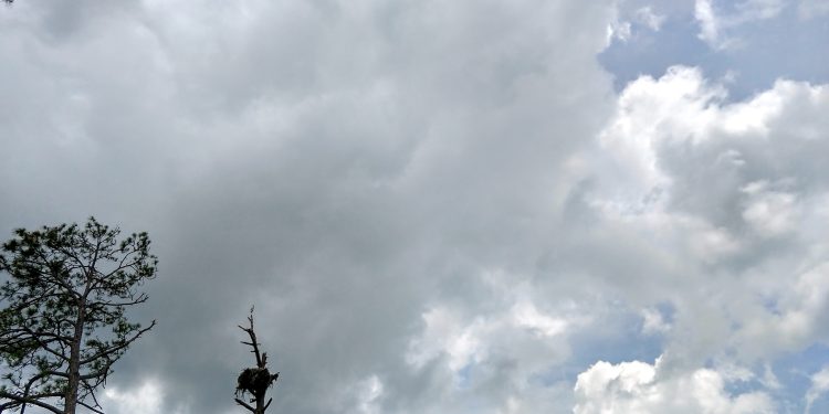 Moti nesër dhe ditëve në vazhdim! (04.11.2021.) E Enjte