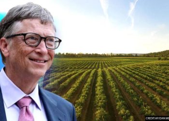 Bill Gates ‘ia mësyn’ Turqisë: Pse është duke blerë tokë atje?