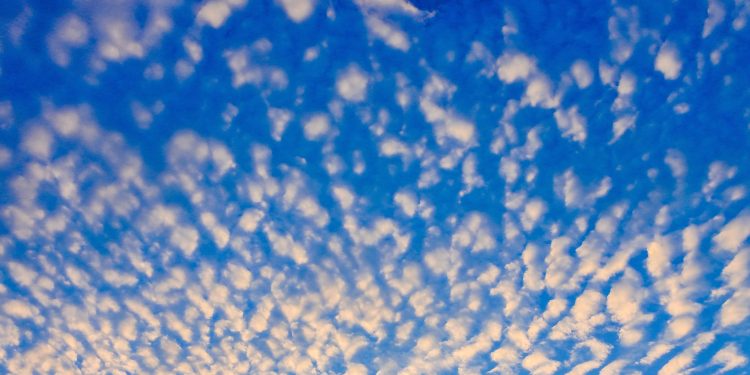 Moti nesër dhe ditëve në vazhdim! (19.11.2021.) E Premte