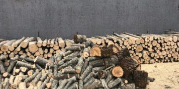 Një metër dru në Kosovë po shitet deri në 70 euro