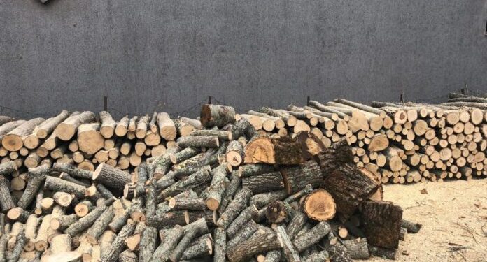 Një metër dru në Kosovë po shitet deri në 70 euro