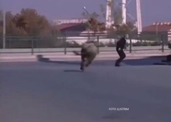 Demi i tërbuar i ikën pronarit në Prizren, vritet nga Shoqata e Gjahtarëve