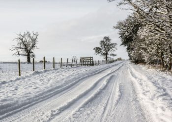 Çfarë moti na pret nga sot?