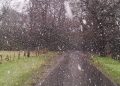 Moti nesër dhe ditëve në vazhdim! (18.12.2021.) E Shtunë