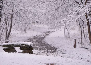 Moti nesër dhe ditëve në vazhdim! (07.12.2021.) E Martë