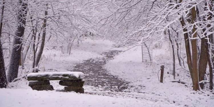 Moti nesër dhe ditëve në vazhdim! (07.12.2021.) E Martë
