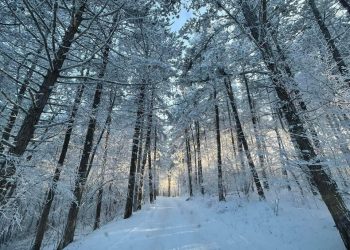 Moti nesër dhe ditëve në vazhdim! (15.01.2022.) E Shtunë