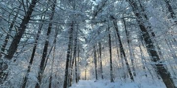 Moti nesër dhe ditëve në vazhdim! (15.01.2022.) E Shtunë