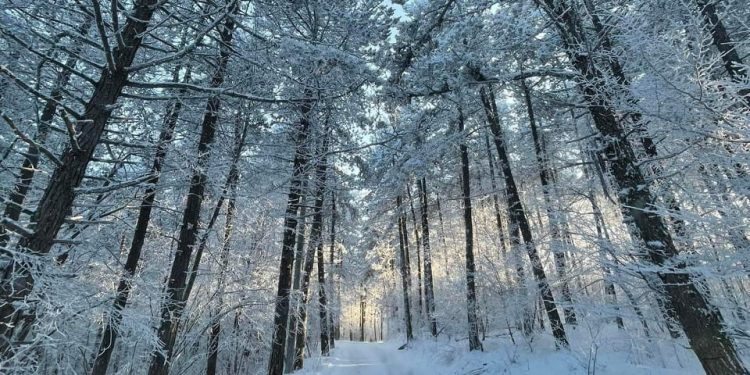 Moti nesër dhe ditëve në vazhdim! (15.01.2022.) E Shtunë