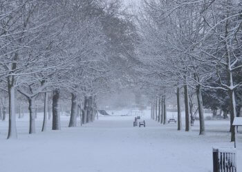 1 Shkurti me reshje të dendura bore!