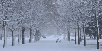 1 Shkurti me reshje të dendura bore!
