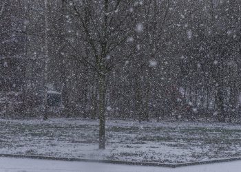 Moti nesër dhe ditëve në vazhdim! (22.01.2022.) E Shtunë