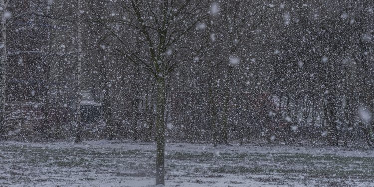 Moti nesër dhe ditëve në vazhdim! (22.01.2022.) E Shtunë