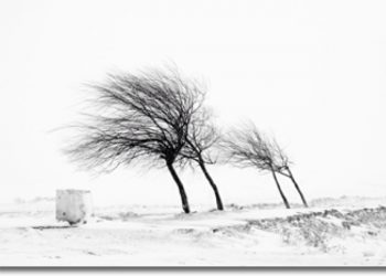 Moti nesër dhe ditëve në vazhdim! (11.01.2022.) E Martë