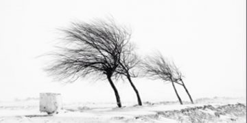 Moti nesër dhe ditëve në vazhdim! (11.01.2022.) E Martë