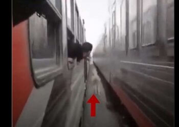 Kali u bllokua në mes të dy trenave, video bëhet virale