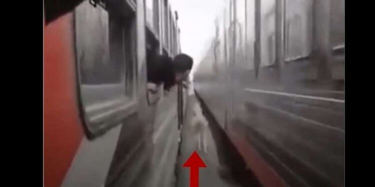 Kali u bllokua në mes të dy trenave, video bëhet virale
