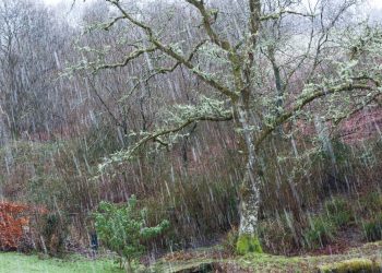 Moti nesër dhe ditëve në vazhdim! (08.01.2022.) E Shtunë
