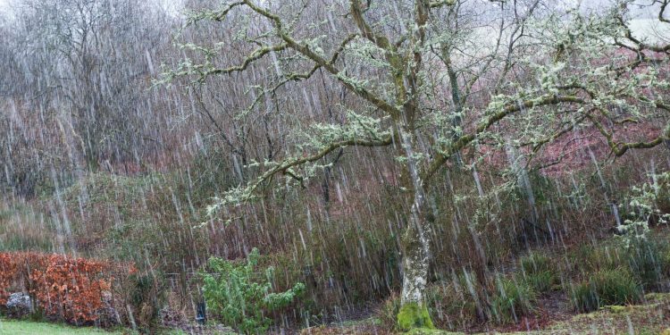 Moti nesër dhe ditëve në vazhdim! (08.01.2022.) E Shtunë