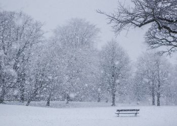 Moti nesër dhe ditëve në vazhdim! (10.01.2022.) E Hënë