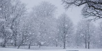 Moti nesër dhe ditëve në vazhdim! (10.01.2022.) E Hënë