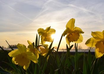 Moti nesër dhe ditëve në vazhdim! (03.01.2022.) E Hënë