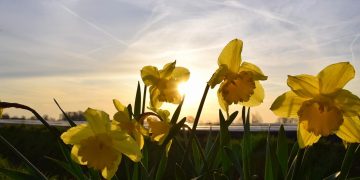 Moti nesër dhe ditëve në vazhdim! (03.01.2022.) E Hënë