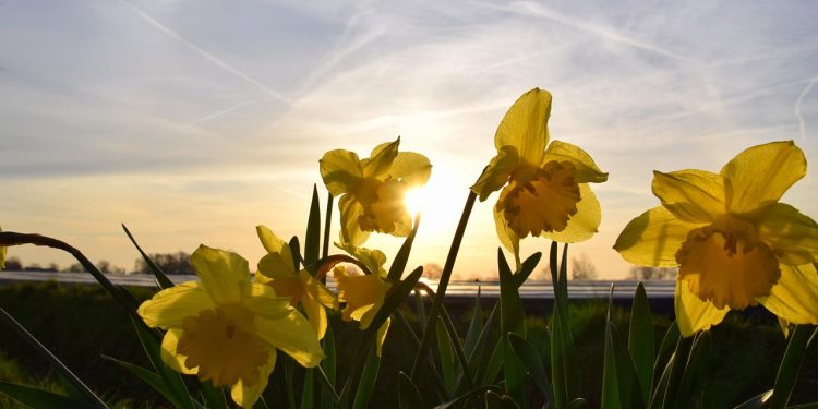 Moti nesër dhe ditëve në vazhdim! (03.01.2022.) E Hënë