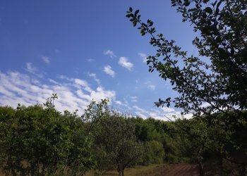 Moti nesër dhe ditëve në vazhdim (19.02.2022.)