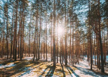 Moti nesër dhe ditëve në vazhdim! (10.02.2022.) E Enjte