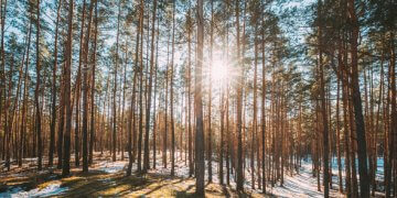 Moti nesër dhe ditëve në vazhdim! (10.02.2022.) E Enjte