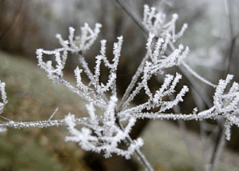Çfarë moti na pret nga sot?