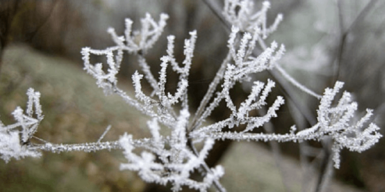 Çfarë moti na pret nga sot?