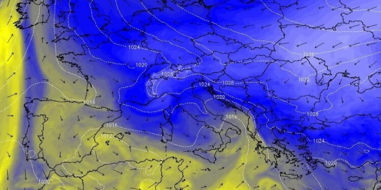 Moti javor, sa pritet të ulen temperaturat?!