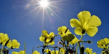 Moti nesër dhe ditëve në vazhdim! (26.03.2022.) E Shtunë