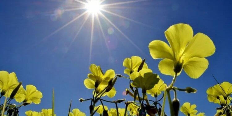 Moti nesër dhe ditëve në vazhdim! (26.03.2022.) E Shtunë